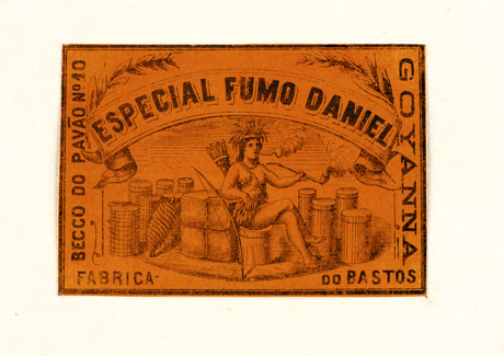 vizualizar o documento on line